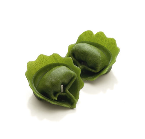 frozen-green-tortelloni-with-matured-cheese-1-kg