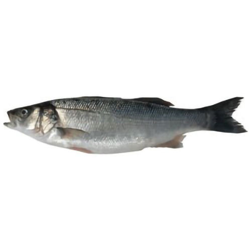 farmed-seabass