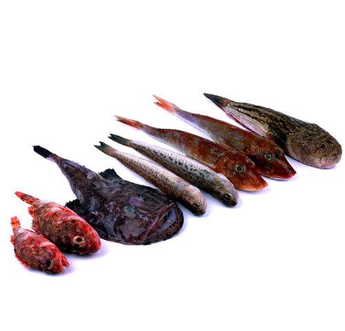 fresh-rock-mediterranean-mixed-fish-2