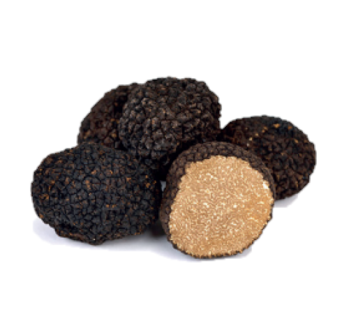 fresh-autumn-black-truffles-tuber-uncinatum-1st-choice-extra