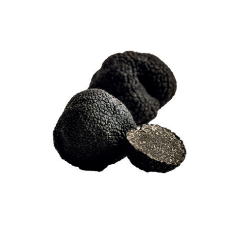 fresh-black-truffles-tuber-melanosporum-extra-20-39-g
