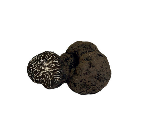 fresh-black-truffles-washed-tuber-brumale
